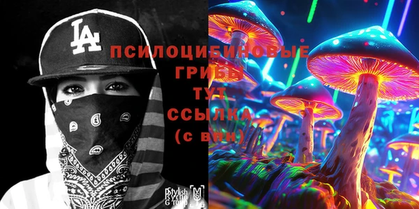 экстази Богородск